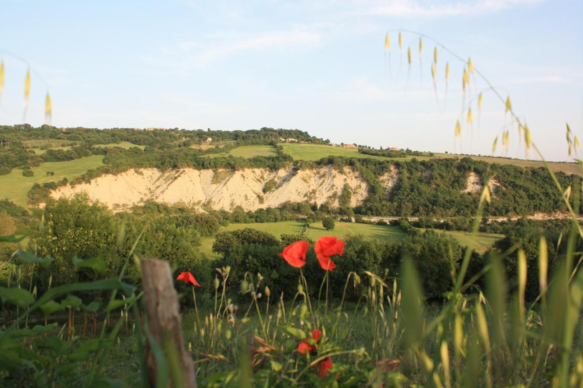 I Sicomori - Seme Di Carota - Glamping E Appartamenti Con Piscina A Saturnia Bagian luar foto