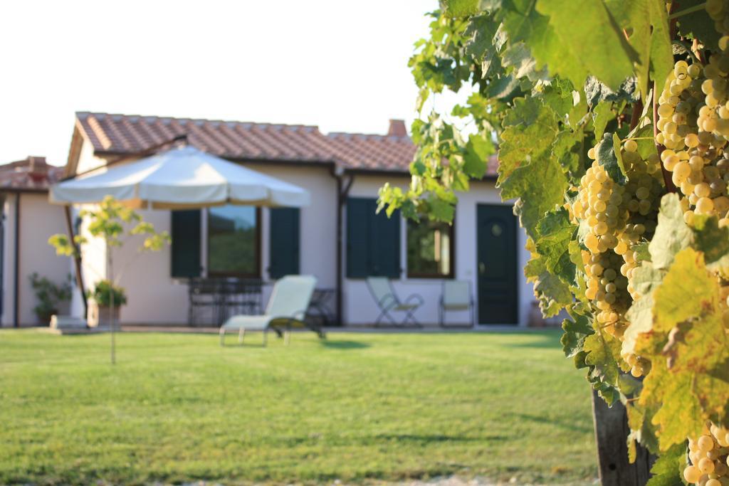 I Sicomori - Seme Di Carota - Glamping E Appartamenti Con Piscina A Saturnia Bagian luar foto